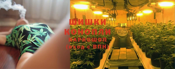 гашик Алексеевка