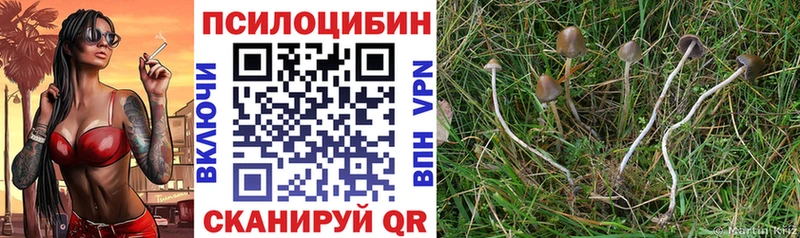 мега ONION  Игарка  Галлюциногенные грибы ЛСД 